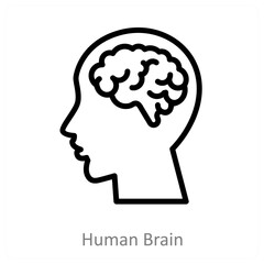 Obraz premium Human Brain
