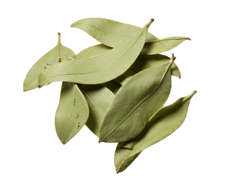 bay leaves on white background