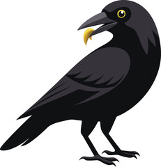 Side view of a Carrion Crow, Corvus corone, isolate