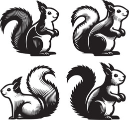Squirrel vector in black and white