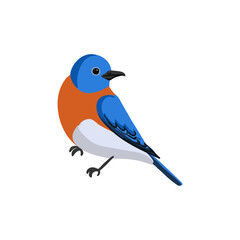 vector drawing bird, eastern bluebird , hand drawn Sialia sialis, isolated nature design element