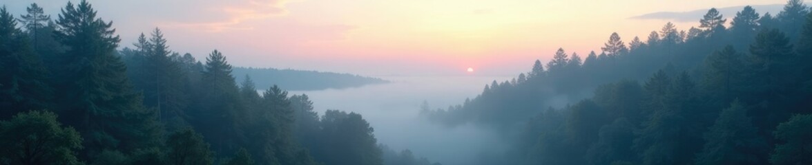 Naklejka premium A soft white gradient envelops a forested scene at dusk, forest, ambiance