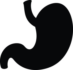 Illustration of Human Internal Stomach Anatomy. Stomach vector art with white background