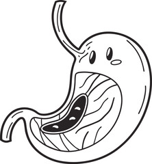 Illustration of Human Internal Stomach Anatomy. Stomach vector art with white background