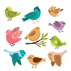 Set of cute spring birds