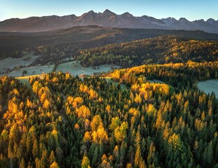 Łapszanka: Widok na Tatry Bielskie jesienią o poranku z lotu ptaka, drona © Michal45
