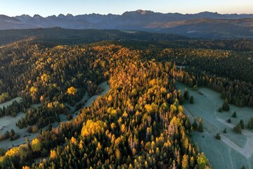 Łapszanka: Widok z drona o poranku jesienią na Podhale, Tatry i lasy w pobliżu przełęczy