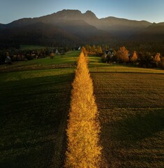 Zakopane: Widok na Giewont jesienią od strony polany Pod Lipkami - widok z drona jesienią