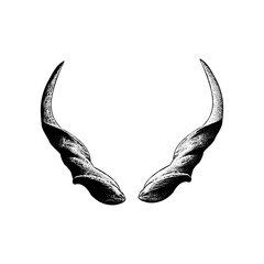 eland horns hand drawing vector isolated on background.
