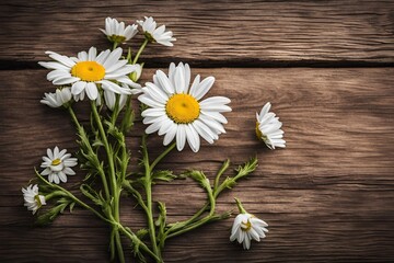 Obraz premium Fresh spring daisy flower on rustic wood. 