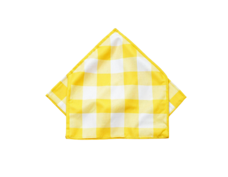house on a white background