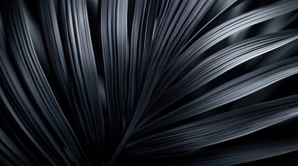 Close-Up of Elegant Black Leaves Showcasing Unique Textures and Patterns, Ideal for Nature and Abstract Aesthetic Designs