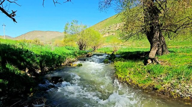 Serene stream flowing through lush greenery under a bright blue sky.
📍Marivan, Kurdistan 