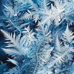 Frosty Elegance Revealed: A Close-Up View of Nature's Masterpiece, the Enchanting Snowflake