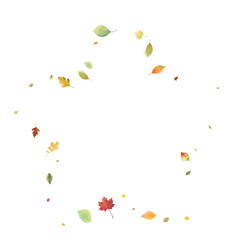 Leaves Falling Autumn Foliage Chaotic Leaf Flying