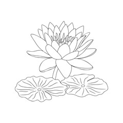 Vector line art of  water lily flower with leaves on a white background. An outline illustration of tropical flower that can be used for coloring page