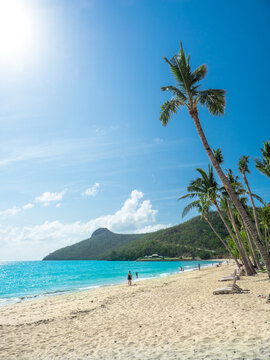 Catseye beach on Hamilton Island in the Whitsundays