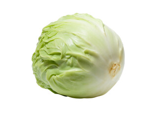 Fototapeta premium cabbage isolated on white background
