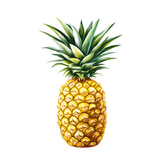 Fototapeta premium Pineapple with Sharp Leaves