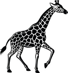 Obraz premium Beautiful adult giraffe vector art illustration