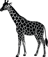 Naklejka premium Beautiful adult giraffe vector art illustration