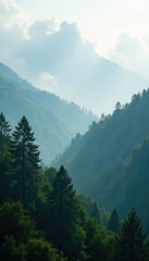 Misty forest with soft white clouds gently drifting above the treetops, serene, trees