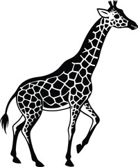 Fototapeta premium Beautiful adult giraffe vector art illustration