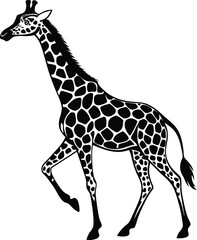 Fototapeta premium Beautiful adult giraffe vector art illustration