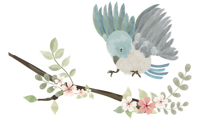 水彩で描いた小鳥と春の植物のイラスト