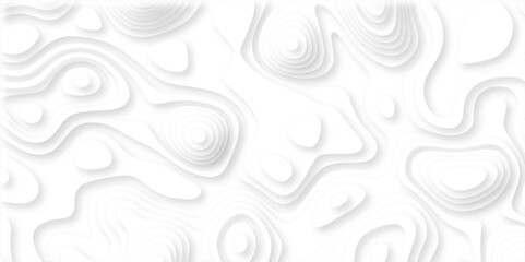 paper cut 3d render topography abstract, beautiful white Background. geometric map relief texture with curved layers and shadow. Realistic papercut decoration textured with wavy vector design.
