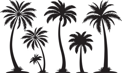 Variant style of palm trees silhouette vector set, isolated on a white background.
