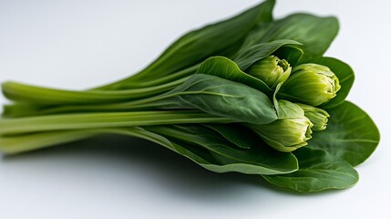 Obraz premium Fresh Bok Choy: A Vibrant Green Vegetable