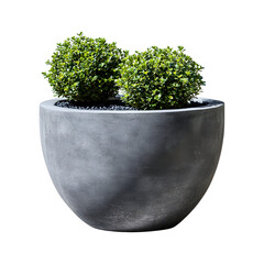 Large Outdoor Planter in Cement Finish with Plant Isolated on Transparent Background