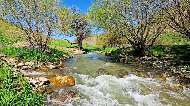 Serene stream flowing through lush greenery under a bright blue sky.
📍Marivan, Kurdistan 