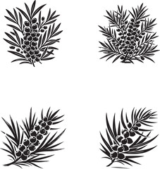 Sea Buckthorn Silhouette Collection - Botanical Vector Illustrations