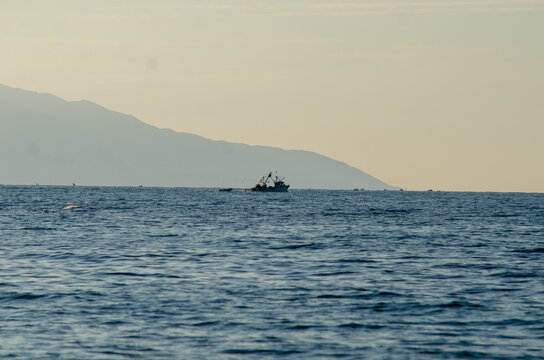 fishing boat in the sea