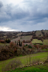 Beautiful landscape in the countryside of Turkey. Spring in the countryside.