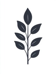 Fototapeta premium Minimalist White Plate with Fresh Parsley Garnish on White Marble Surface