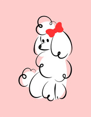 Hand drawn illustration of white poodle with bow on pink background, suitable for decor, logo of pastry shop or grooming salon.