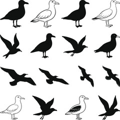 Seagull Silhouettes Bird Clipart, Seagull Silhouettes and Drawings Illustration
