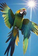 Fototapeta premium Green Macaw in Flight Sunny Sky Bird Photography