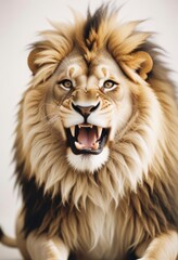 Fototapeta premium Majestic Male Lion Roaring Portrait Powerful Wildlife Photography