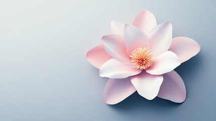 Paper flower, pastel, bloom, background, studio, design, element, website