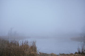 Dense fog over a calm lake with reeds in the suburbs of Illinois