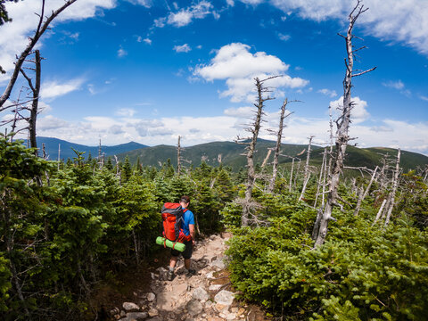 Male backpacker hiking through New Hampshire's Pemigewasset Wilderness