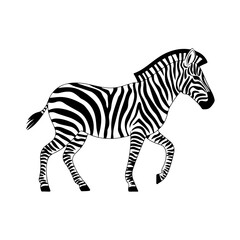 Elegant Zebra Vector Illustration with Classic Striped Pattern