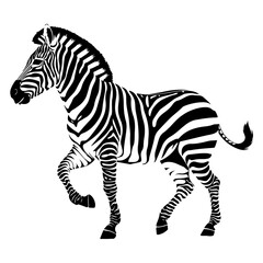 Detailed Zebra Vector Illustration in Striking Black and White