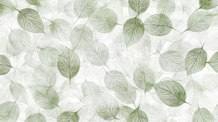 Rolgordijnen Vormen patronen Organic backdrop with intricate details of transparent leaf veins in varying shades of green on a white background  © Anoo