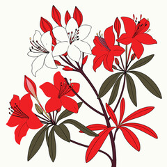 red and white flowers