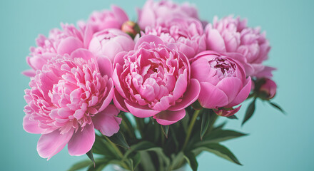 Fototapeta premium Vibrant Peonies: A bouquet of lush, pink peonies bursts with life, petals unfurling in a symphony of color and texture, perfect for conveying delicate beauty and joy.